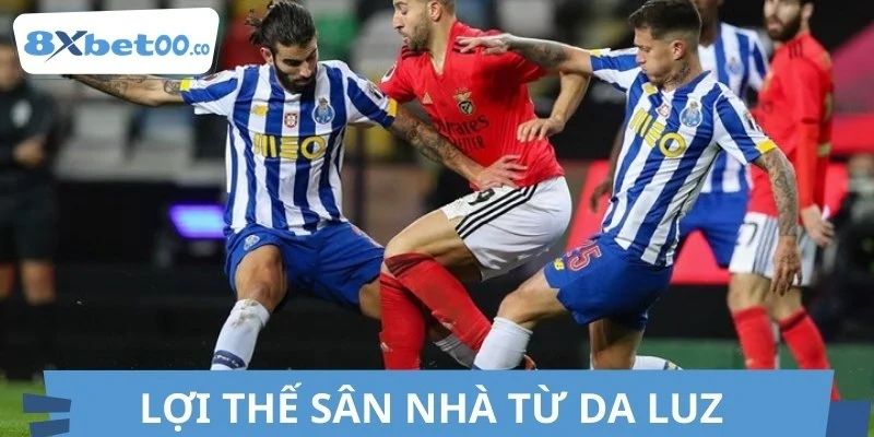 Khán đài Da Luz tiếp sức cho đội nhà Benfica