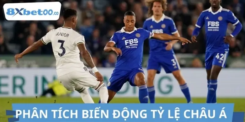 Phân tích tỷ lệ châu Á Phân tích tỷ lệ châu Á